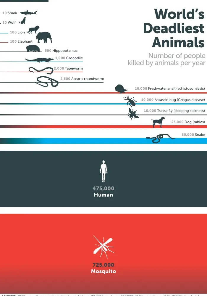 Infographic showing mosquitoes kill 725,000 people per year — more than any other animal