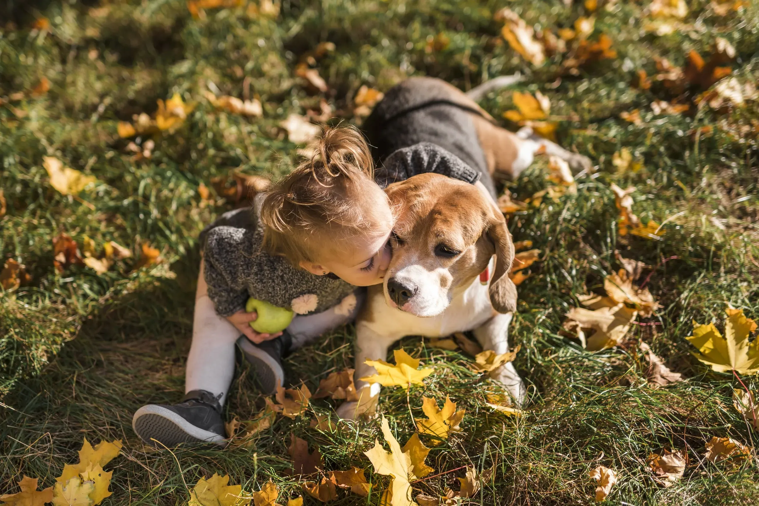Kids and pets playing safely in yard after Mosquito Shield tick and flea treatment