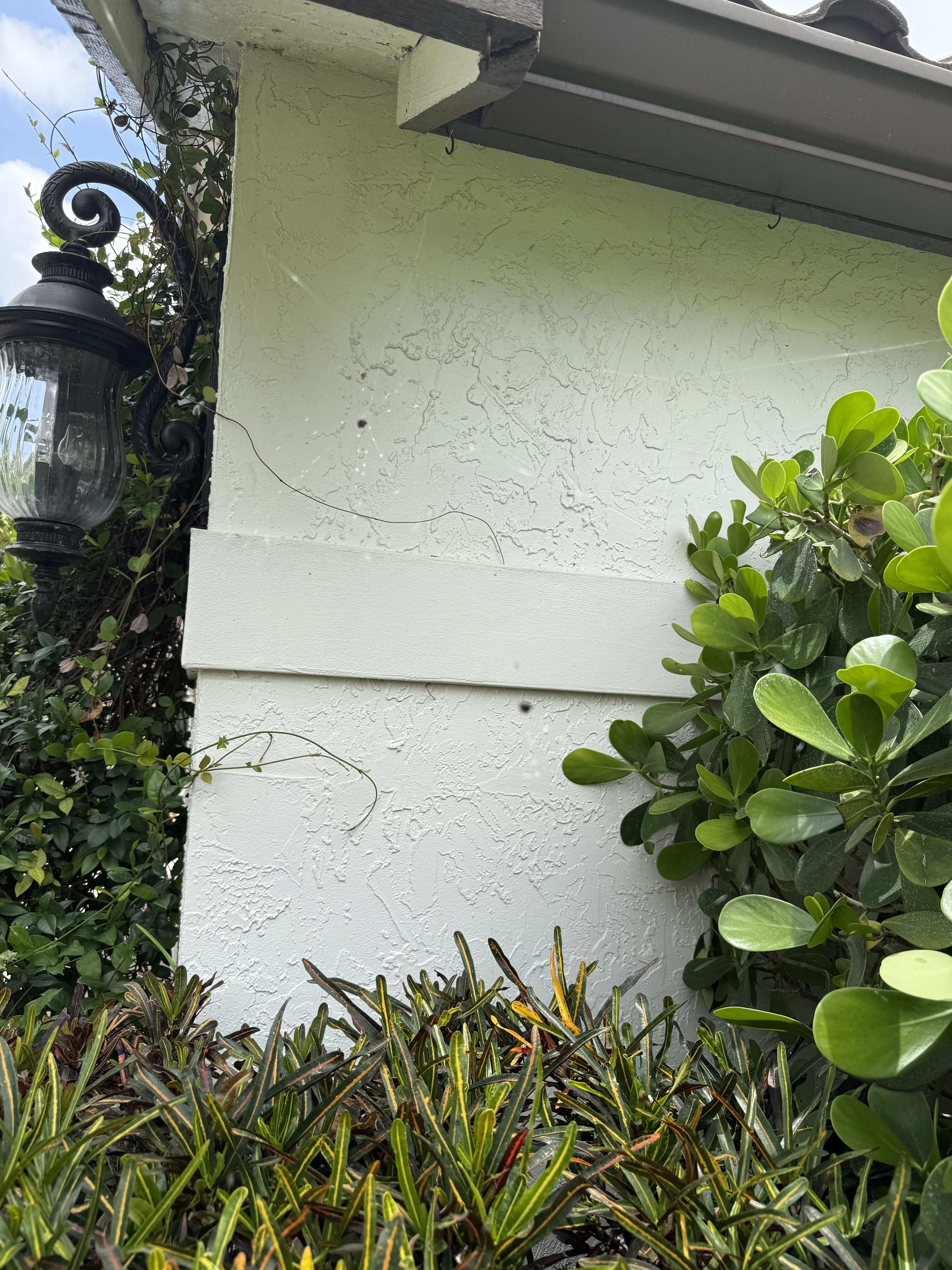 South Florida apartment and condominium complex mosquito control service