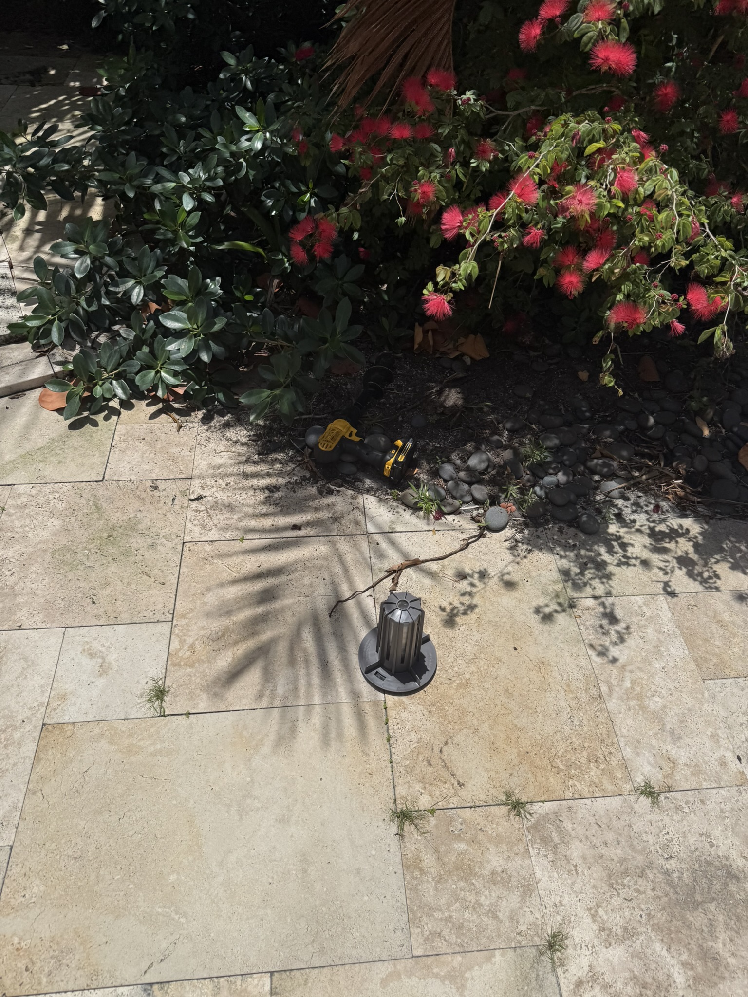 Mosquito Shield South Florida pest control