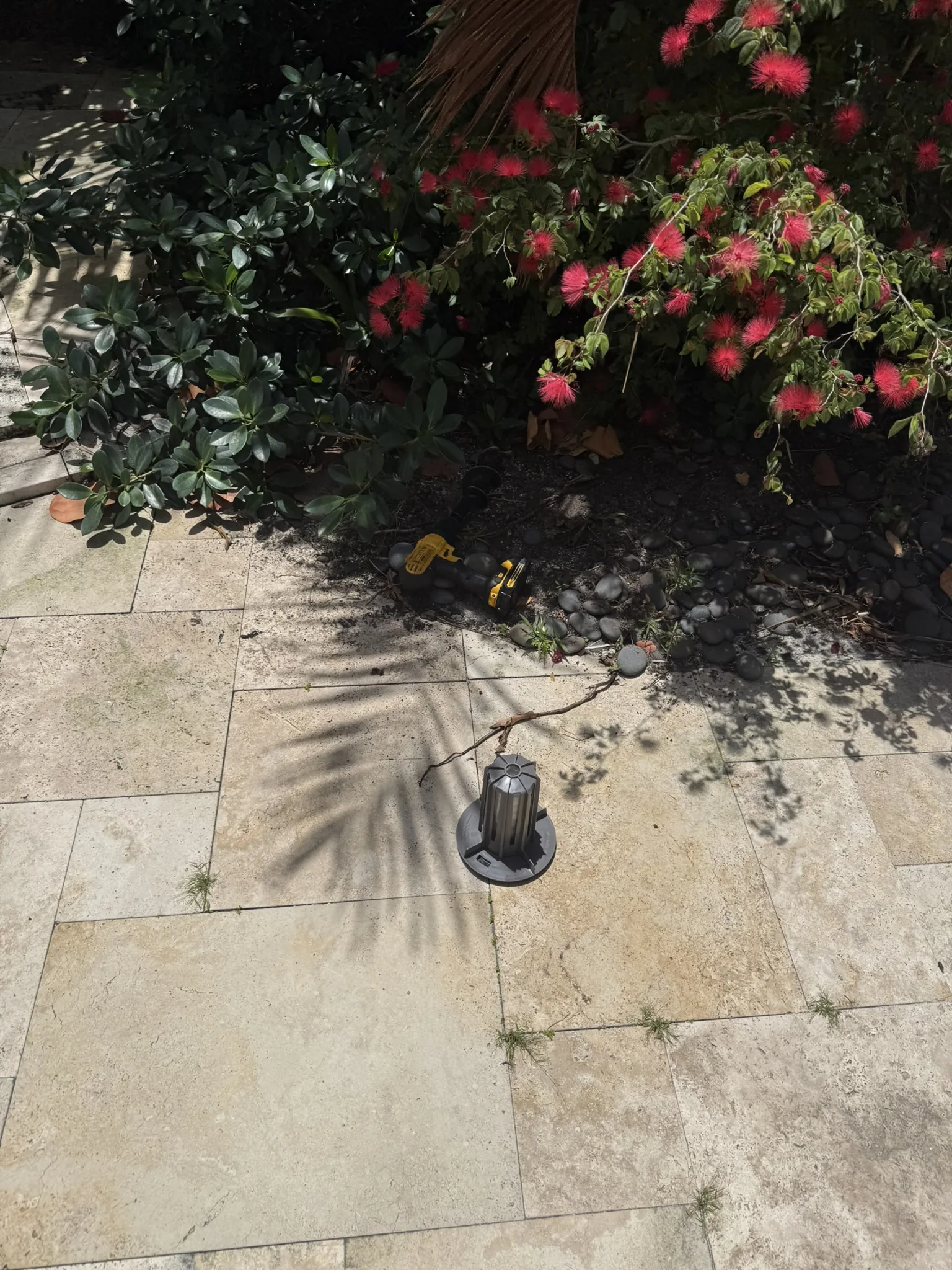 Mosquito Shield South Florida pest control