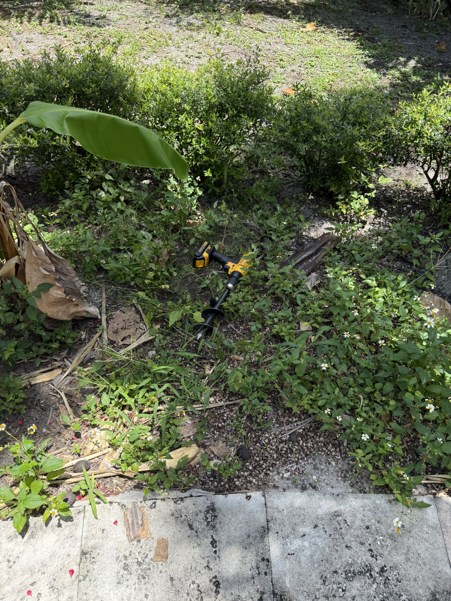 Mosquito Shield South Florida pest control