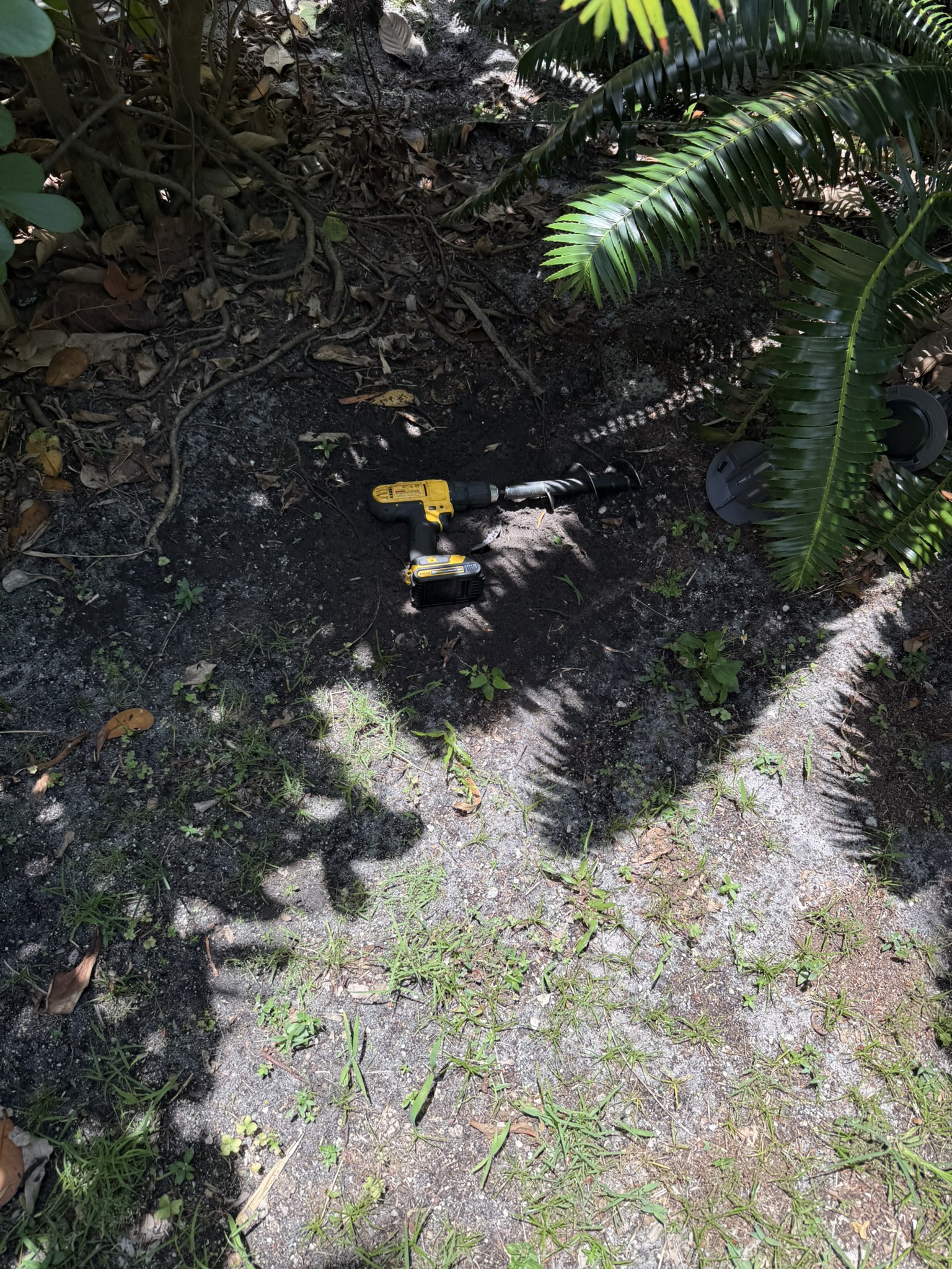 Mosquito Shield South Florida pest control