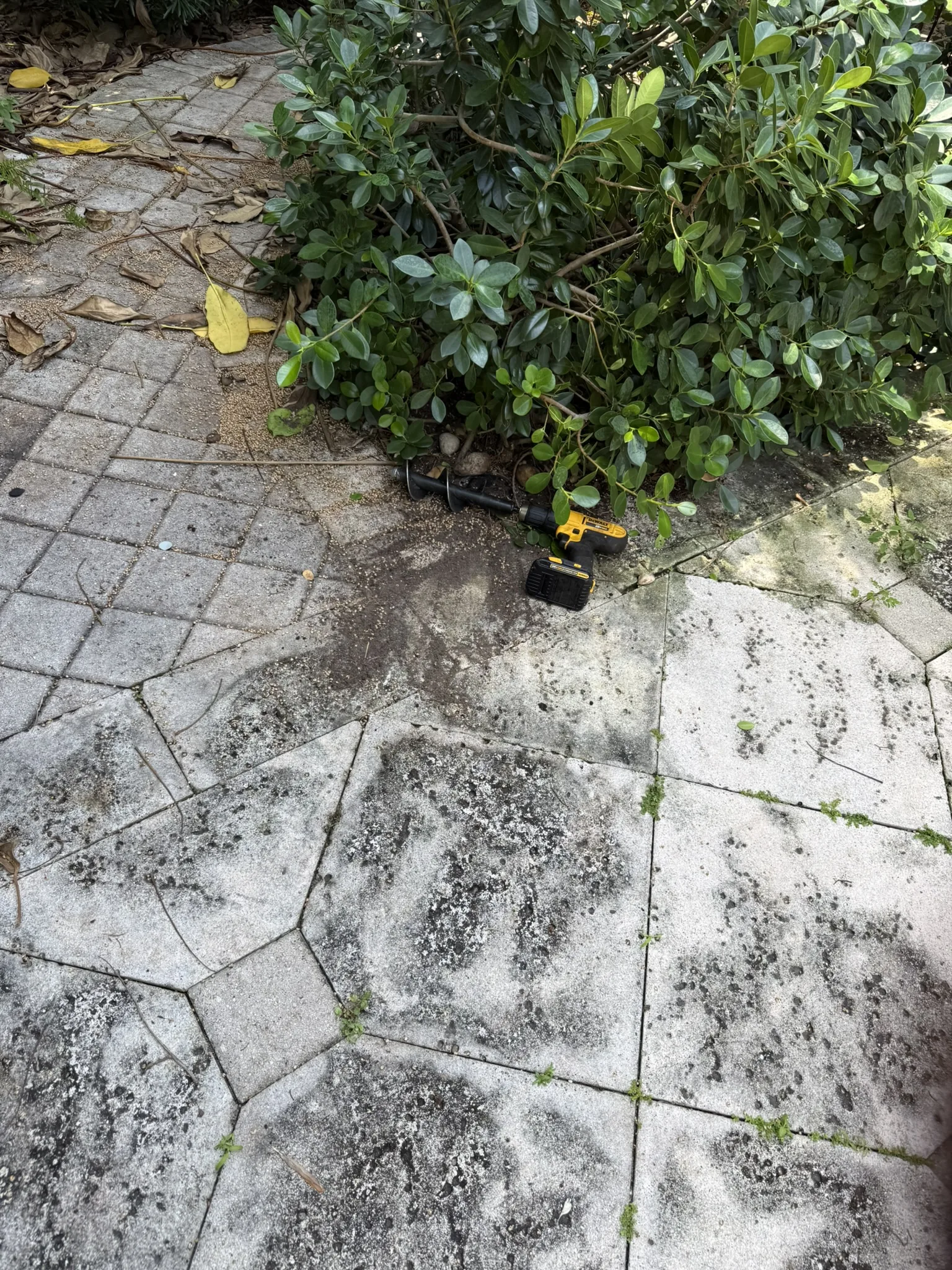 Mosquito Shield South Florida pest control